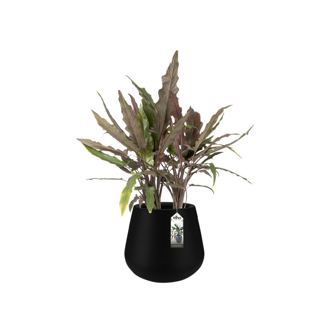 pure cone 45cm zwart